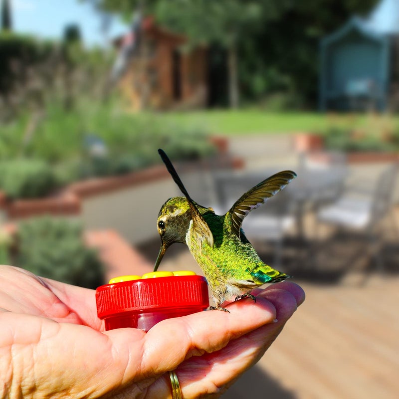 ZHBDMGK Hand Hummingbird Feeder  4Pcs Mini Flower Hand held Hummingbird Feeder with 4Pcs Cleaning Brush  Window Humming Wild Bird Feeders for Outdoor Supplies - Image 5